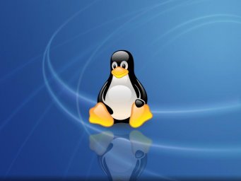 В Linux блокировку телеграмм можно обойти через локальный прокси TOR