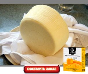 заказать сычужный фермент для сыра заказать сычужный фермент для сыра